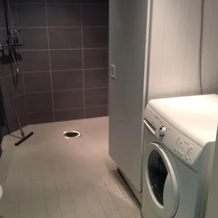 Riihivuori Paritalohuoneisto Muurame