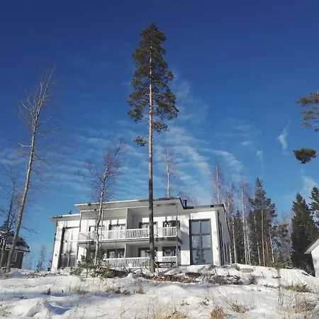 Riihivuori Paritalohuoneisto Muurame