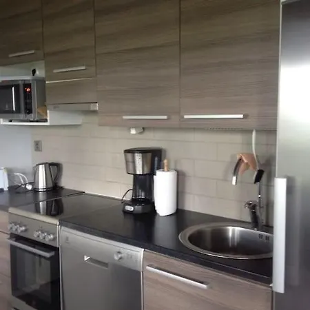 Riihivuori Paritalohuoneisto דירה Muurame