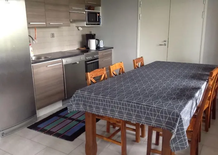 Riihivuori Paritalohuoneisto 아파트 Muurame