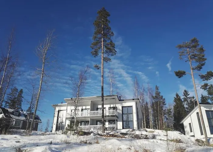 Riihivuori Paritalohuoneisto Muurame